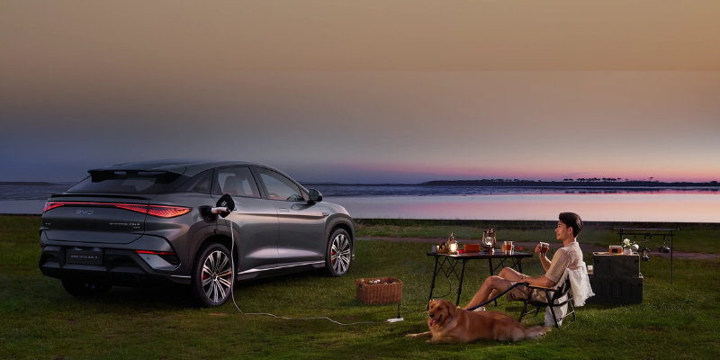 Produk Byd sealion7 5