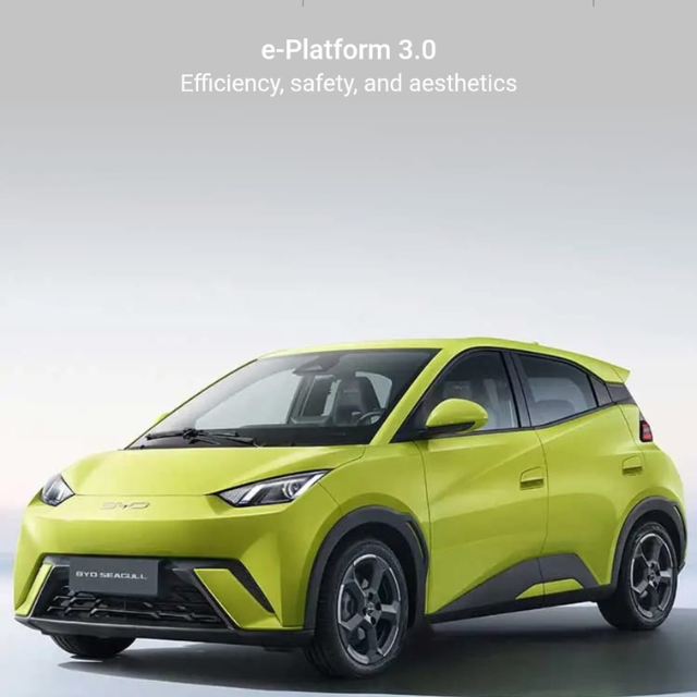 byd new seagull